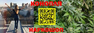 МДПВ Будённовск
